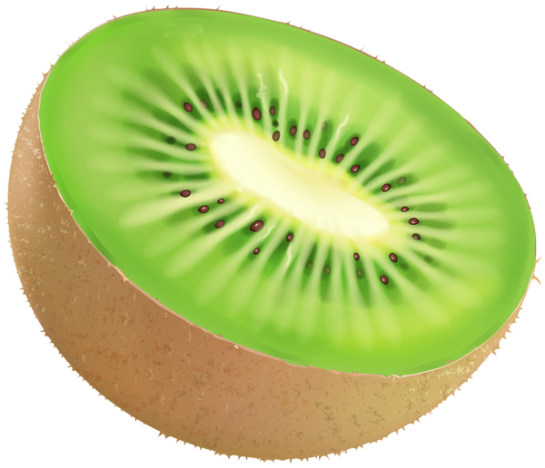 Kiwi Fruit PNG Clip Art Image Gallery   HD Free Download