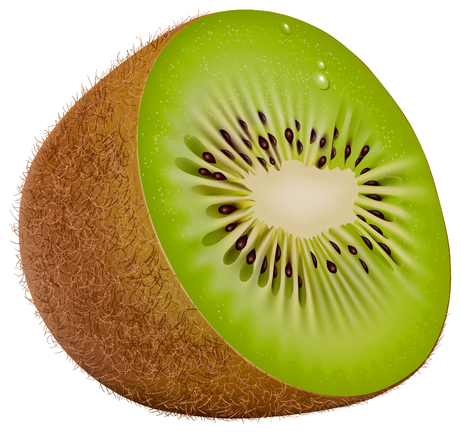 Kiwi Kiwis Clipart Clipground  HD Free Download