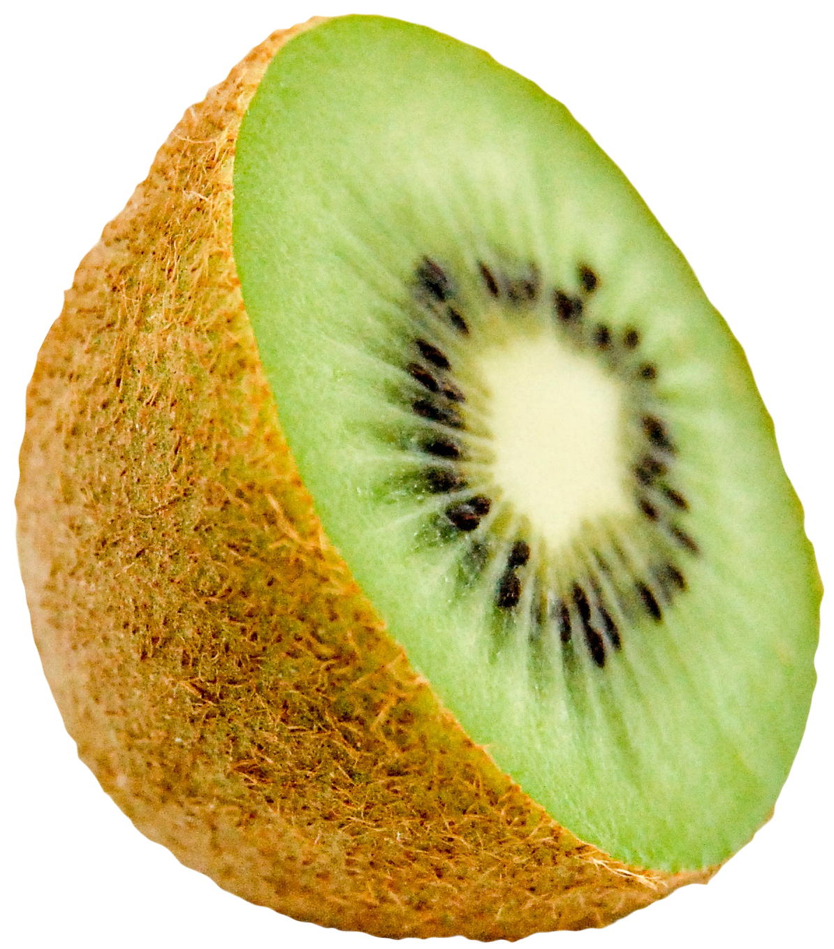 Kiwi PNG Image   HD Free Download