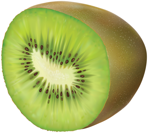 Kiwi Transparent PNG Clip Art Gallery   HD Free Download