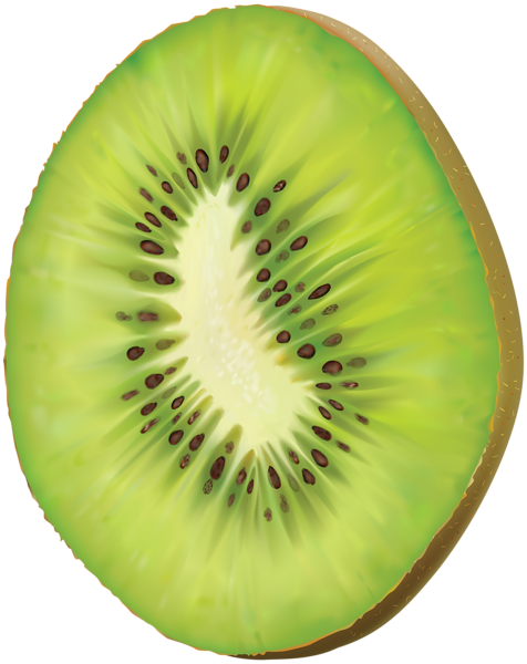 Kiwi Transparent PNG Clip Art Gallery   HD Free Download