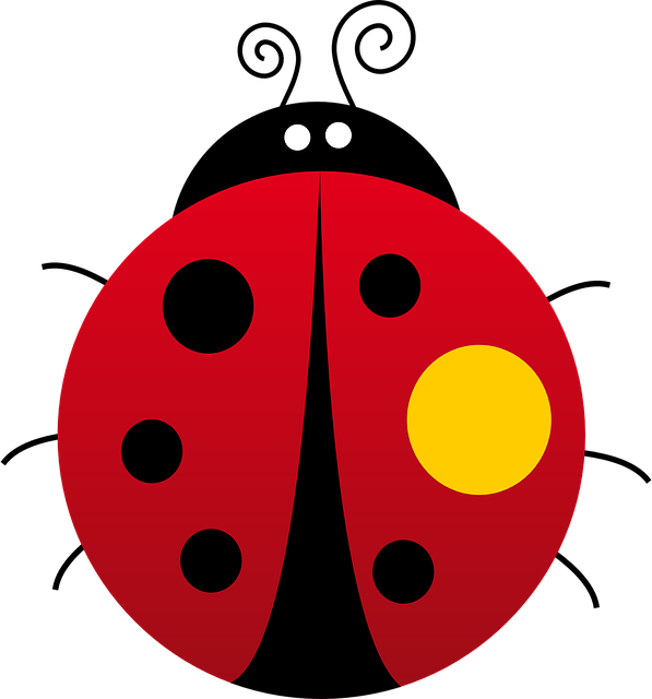 Ladybug Beetle Red The Vector Graphic   HD Free Download
