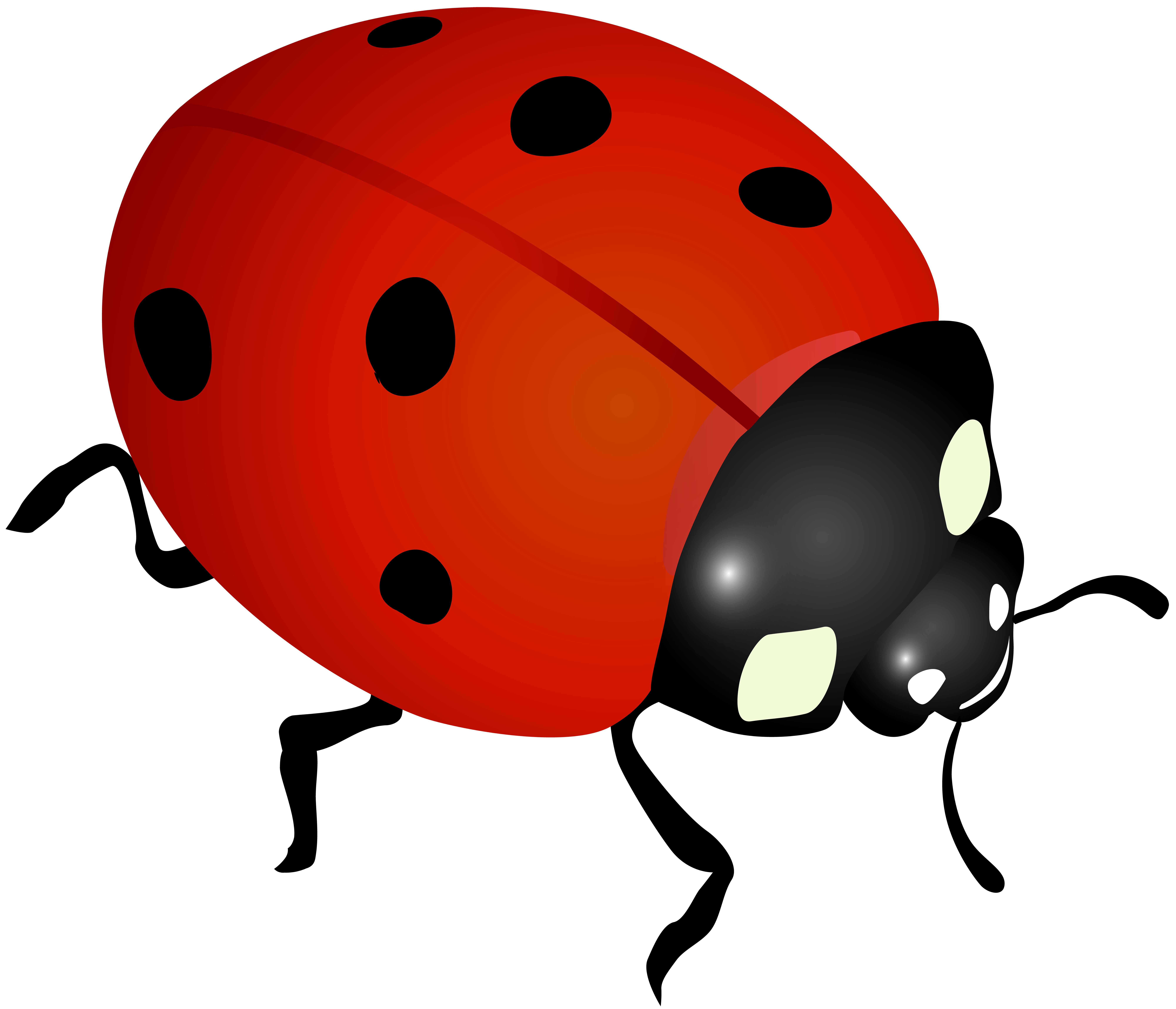 Ladybug Clipart Ladybug Transparent For HD Free Download