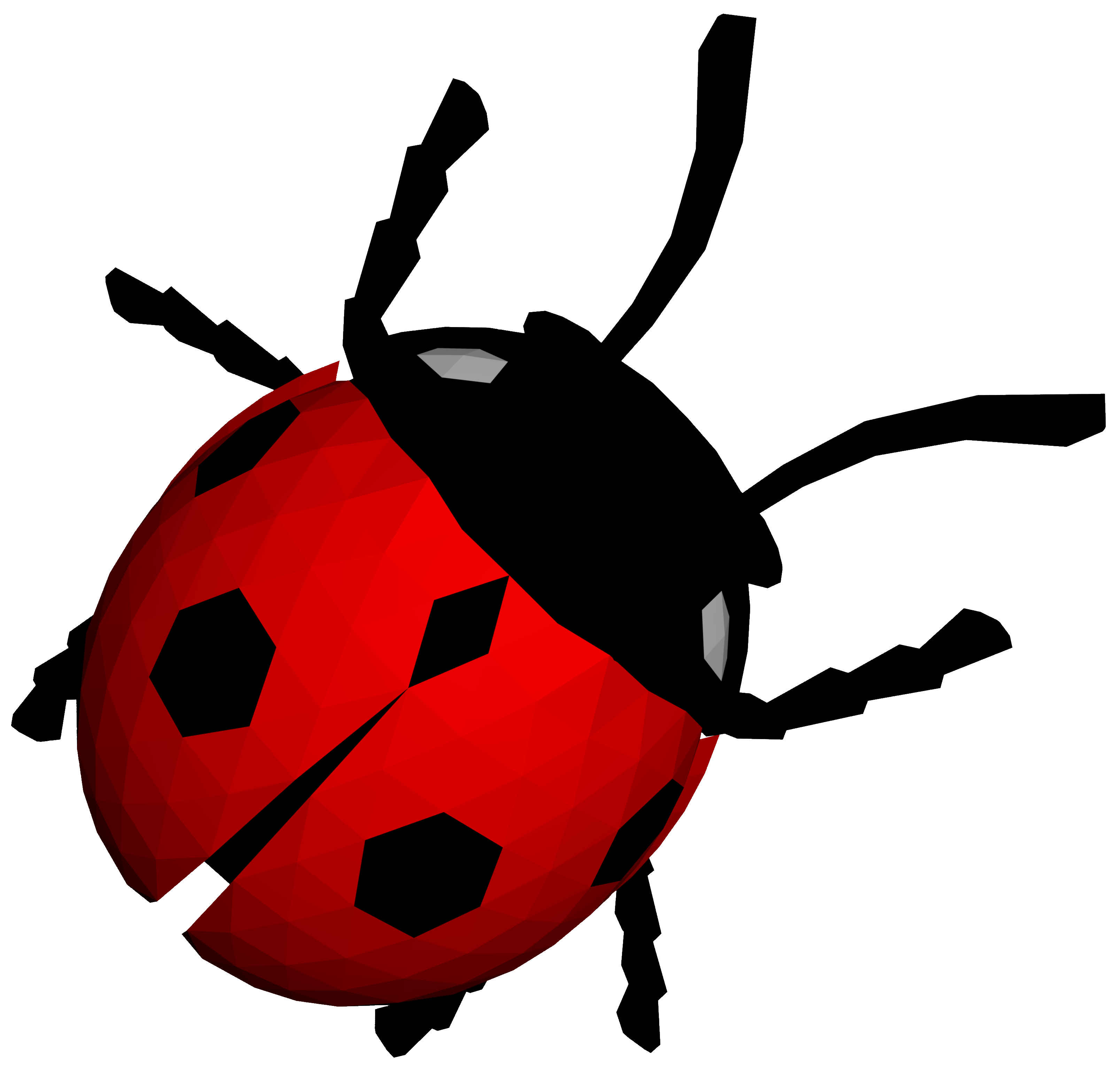 Ladybug Index Files Media  HD Free Download
