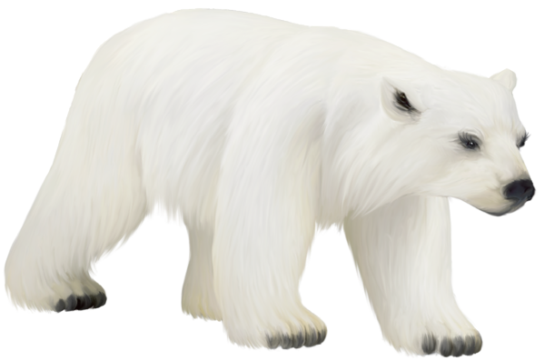 Large Painted PNG Polar Bear Clipart Gallery High Quality Images And  HD Free Download