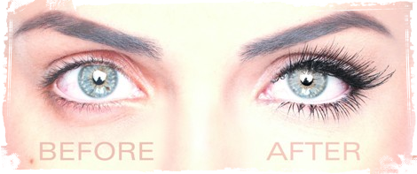 Lashes Eyelash Extensions  HD Free Download