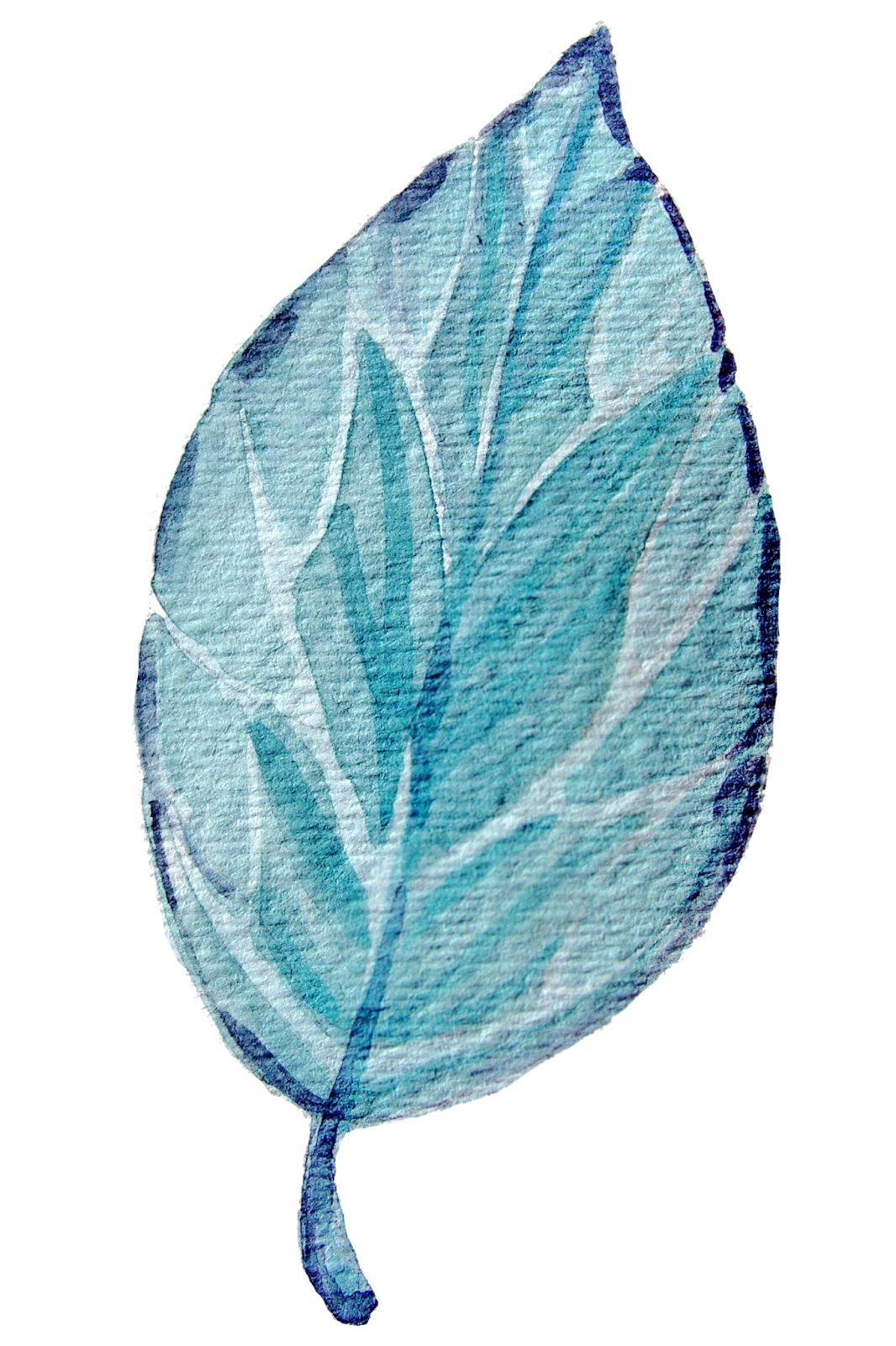 Blue Leaf Cut Out Transparent Photo HD Free Download