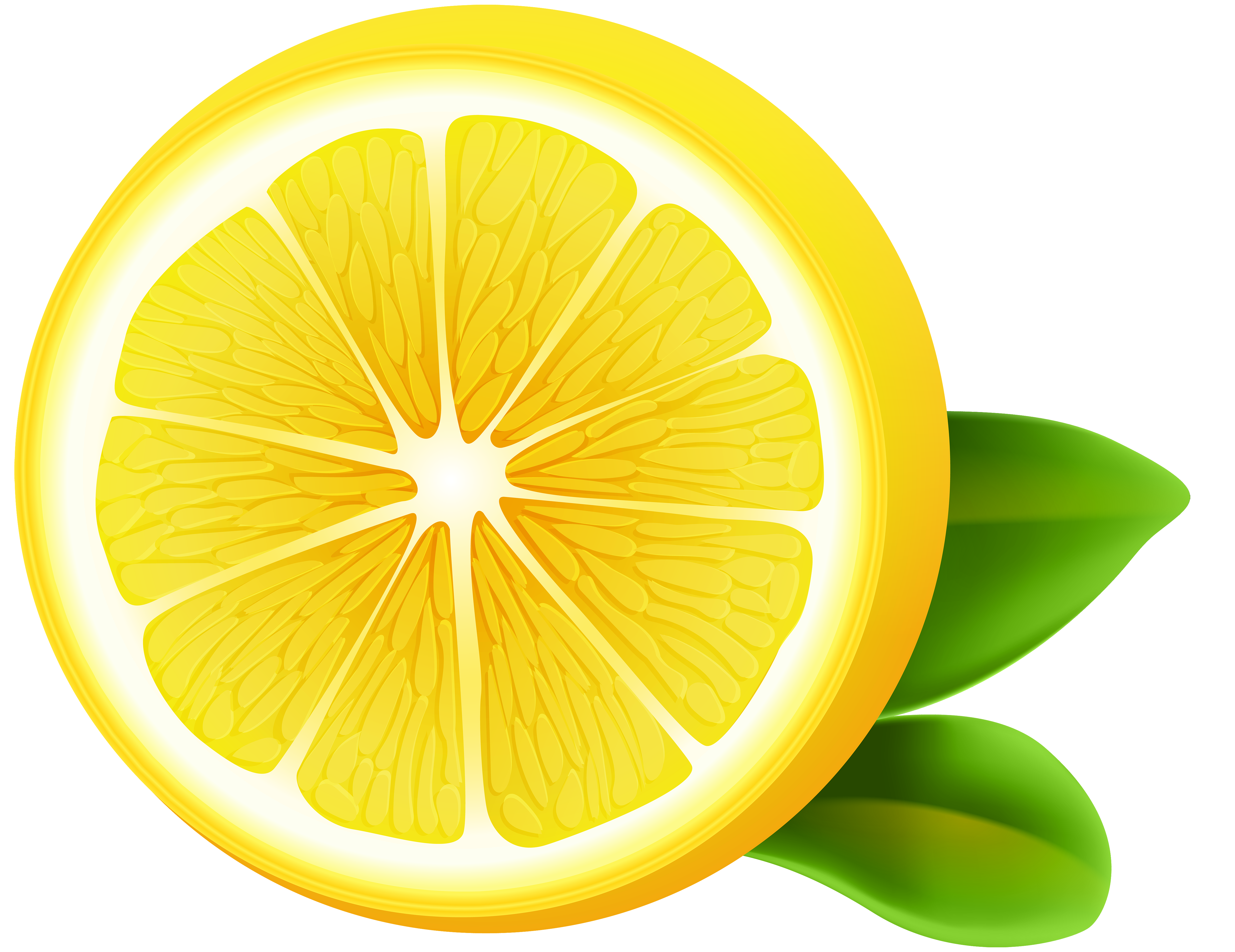 Lemon Clipart Transparent Pencil And Color Lemon  HD Free Download