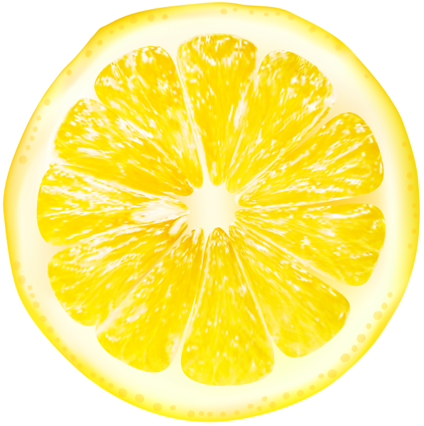 Lemon Slices Transparent PNG Clip Art Gallery  HD Free Download