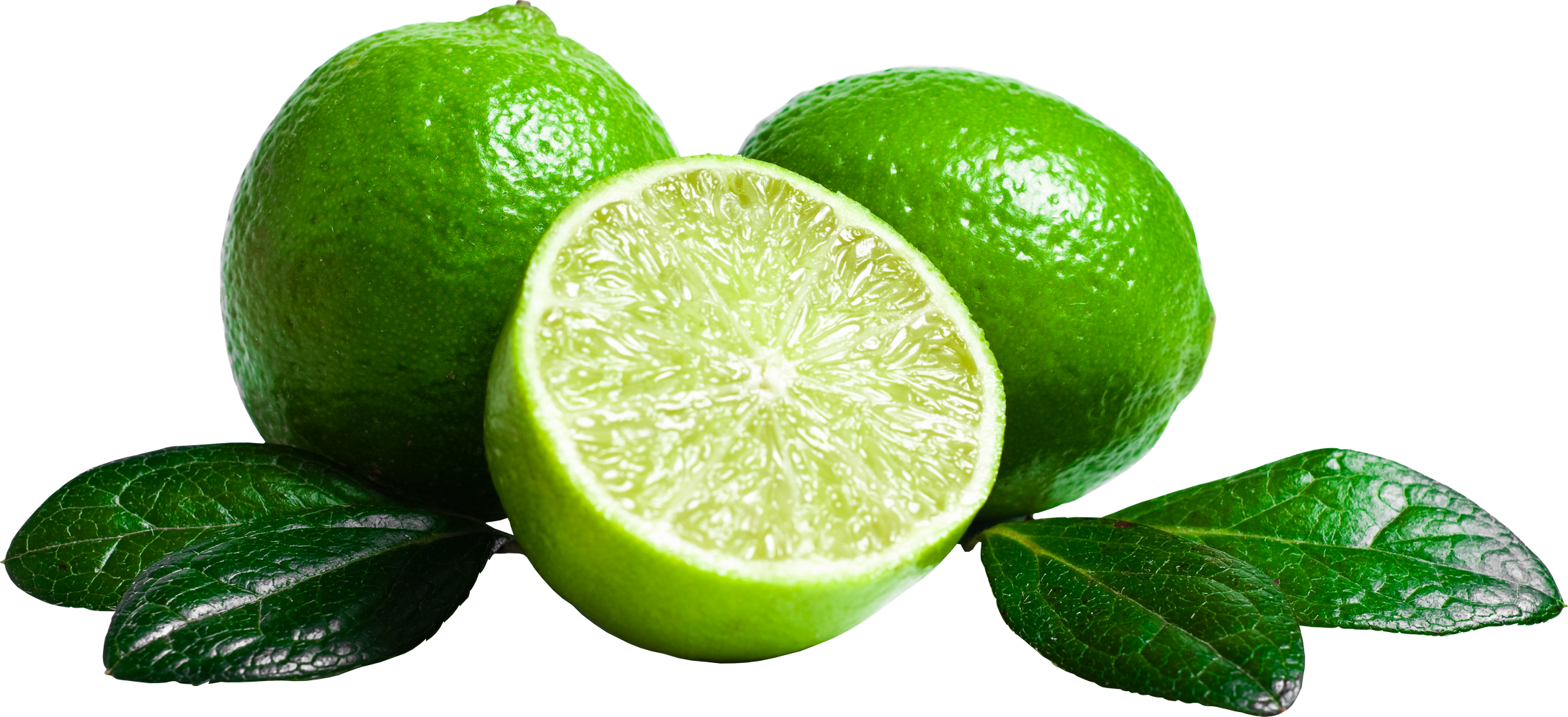 Lime PNG Image Purepng Transparent PNG Image Library  HD Free Download