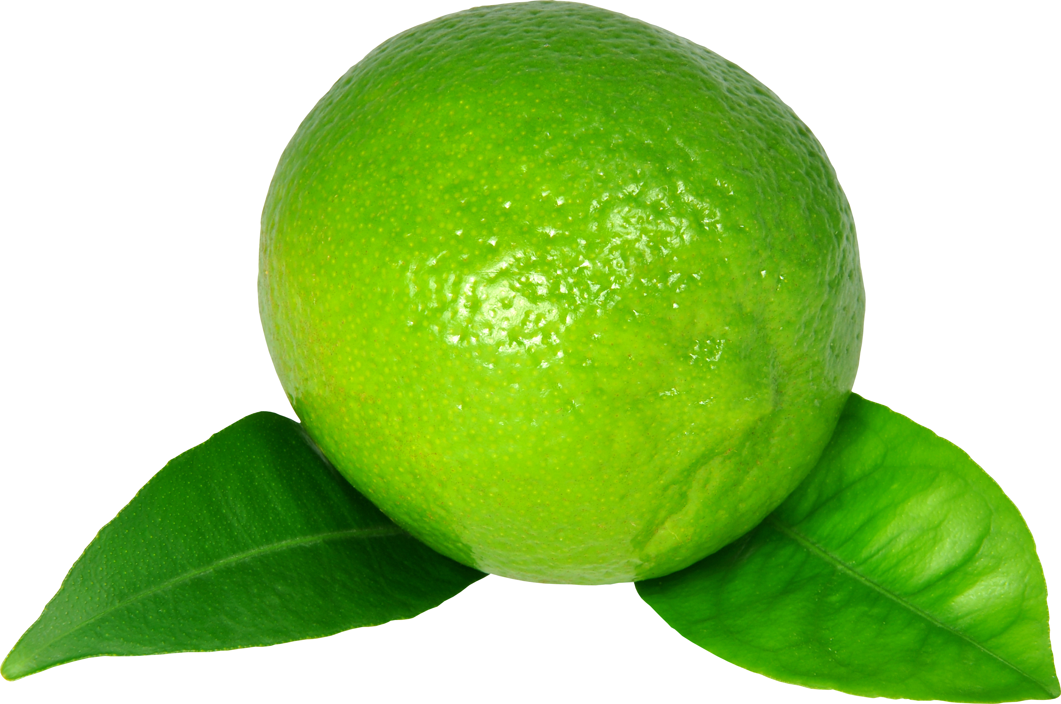 Lime PNG Images Are Crazypngm Crazy PNG Images  HD Free Download