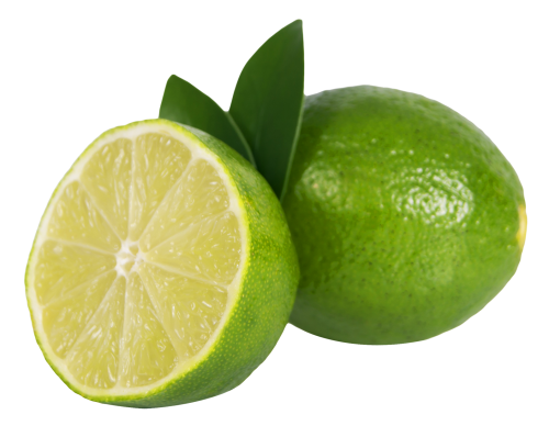 Lime Sliced PNG Image   HD Free Download