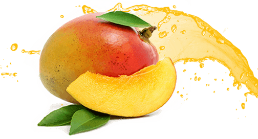 Mango Arca Continental Lindley  HD Free Download