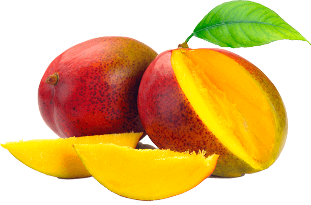 Mango Index Meridana  HD Free Download