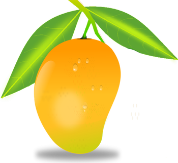 Mango PNG Best Mango PNG Clipartmagm  HD Free Download