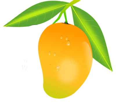 Mango PNG Transparent Images   HD Free Download