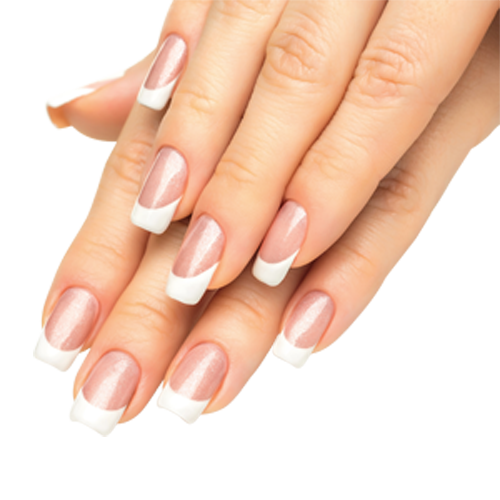 Manicure Nails PNG Image Purepng Transparent PNG Image Library  HD Free Download