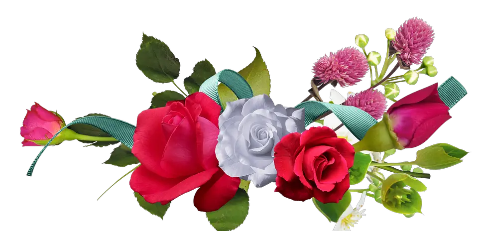 Mawar Bunga Bunga Merah Gambar Gratis   HD Free Download