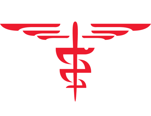 Red Medical Symbol With Wings And Snakes PNG  HD Free Download