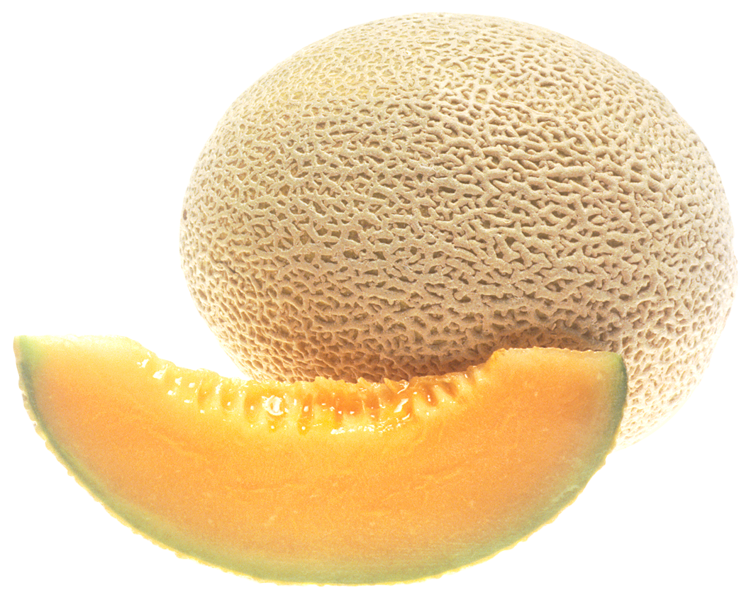 Melon Cantaloupe PNG Image   HD Free Download