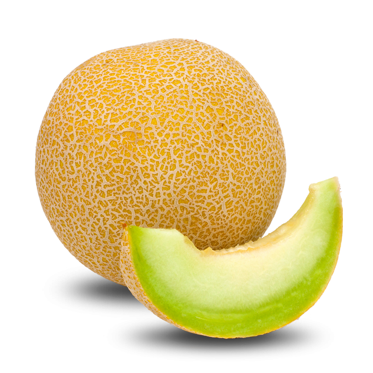 Melon Mellons Protofanousis  HD Free Download