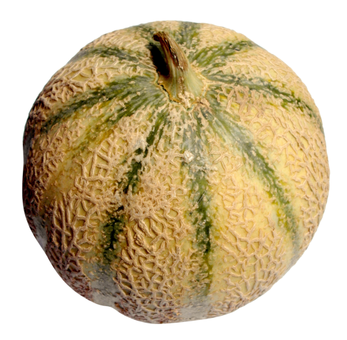 Melon PNG Image   HD Free Download