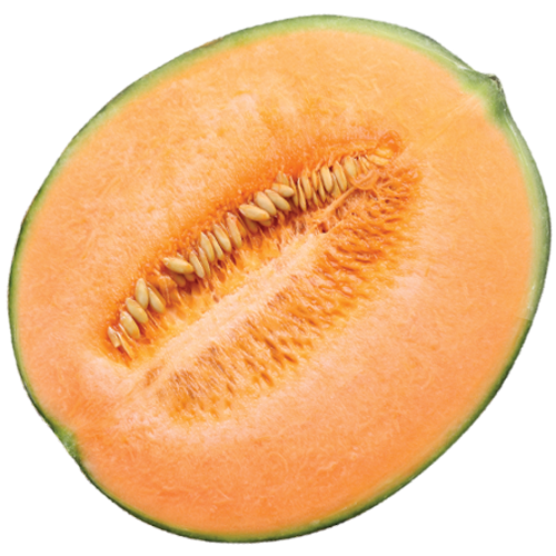 Melon Sol Melons HD Free Download