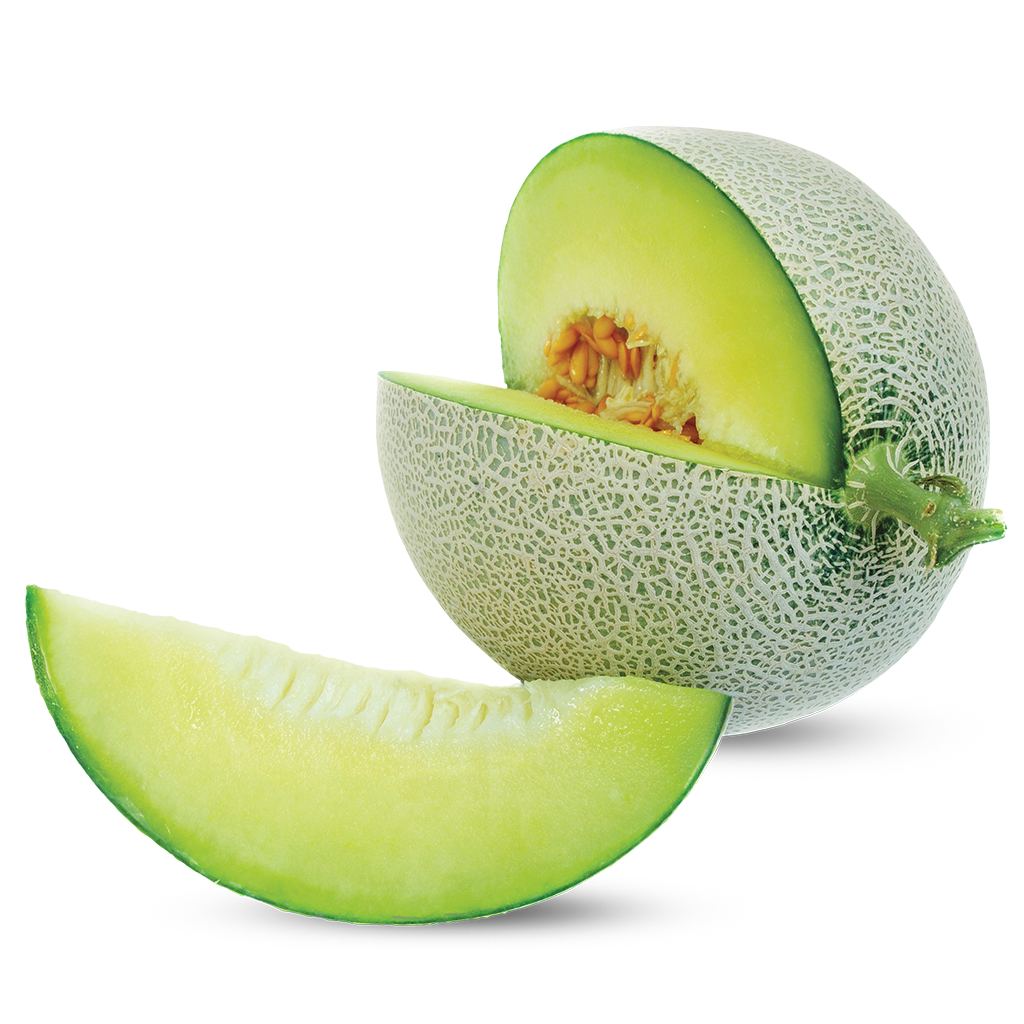 Melon Yogurtland Find Your Flavor Honeydew  HD Free Download