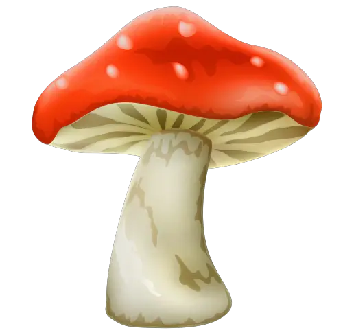 Mushroom With White Dots Clipart Best Clipart  HD Free Download