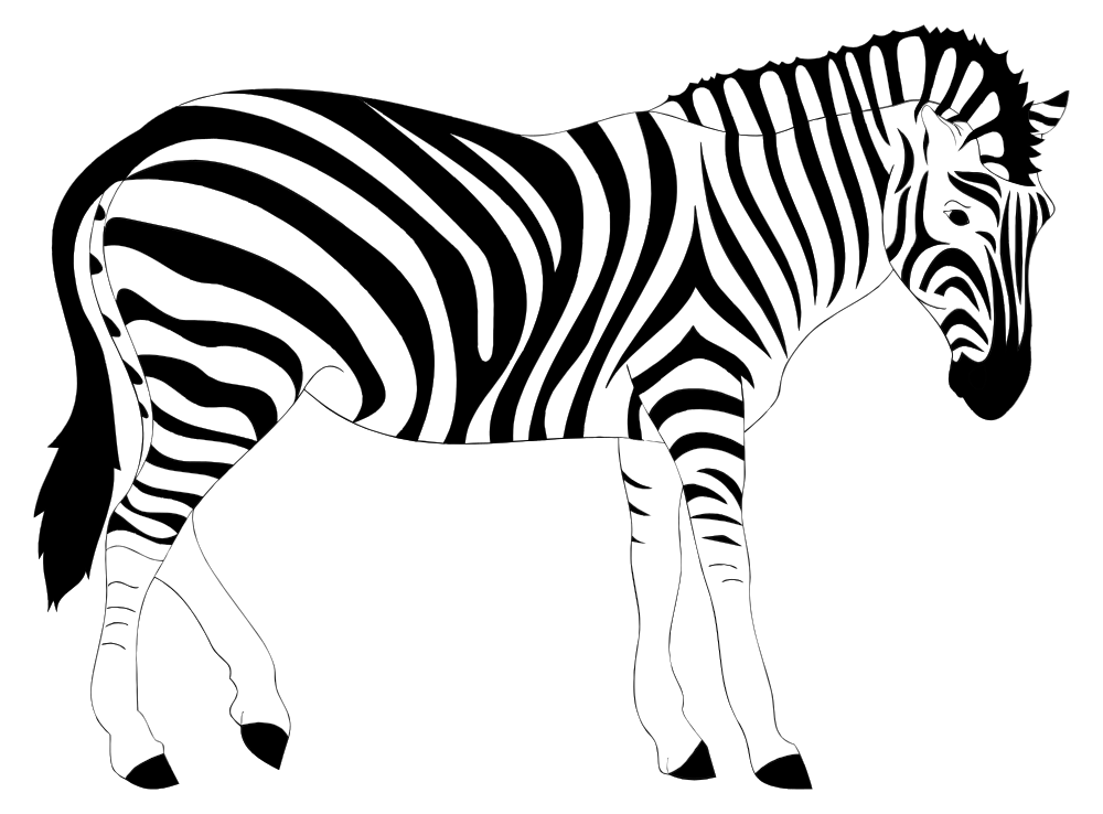 Onlinelabels Clip Art Realistic Zebra Illustration  HD Free Download