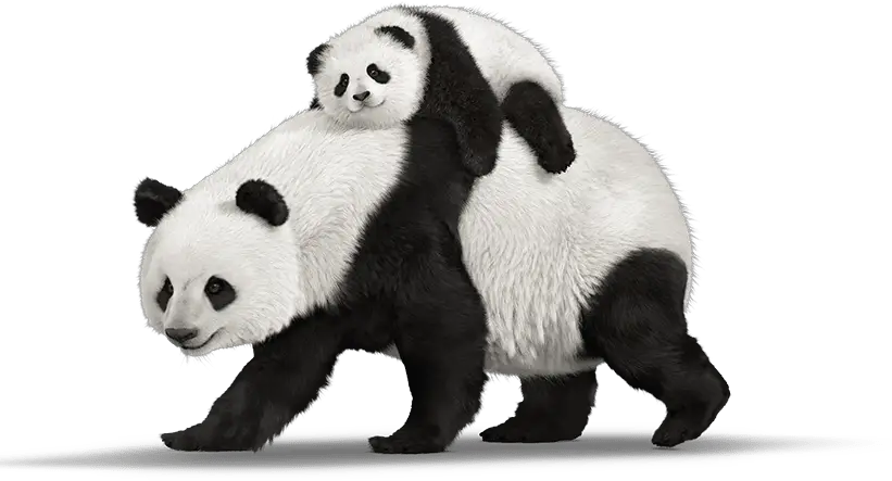 Panda Telus Hand Down Smartphones Mobility Telusm  HD Free Download