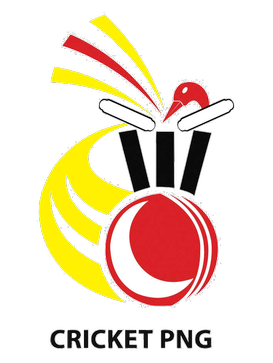 Papua New Guinea National Cricket Team New Balance PNG Logo  HD Free Download