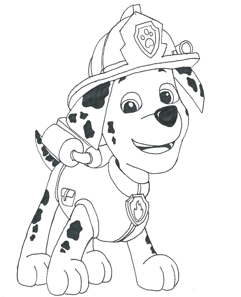 Paw Patrol Kelly Colouring Pages  HD Free Download