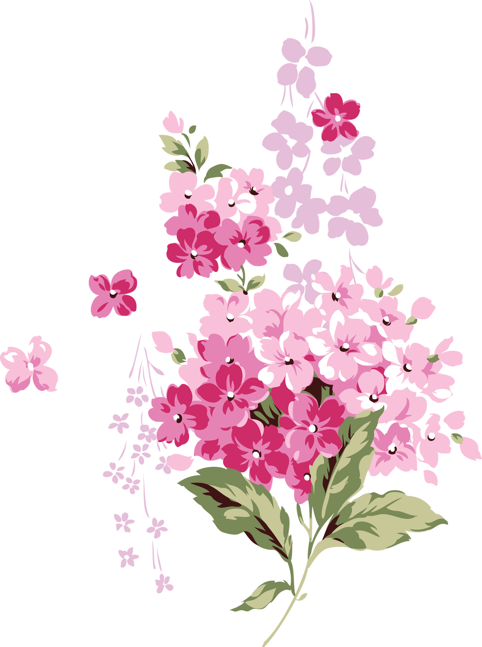 Pembe çiçek Papatya Yeşil Sap  HD Free Download