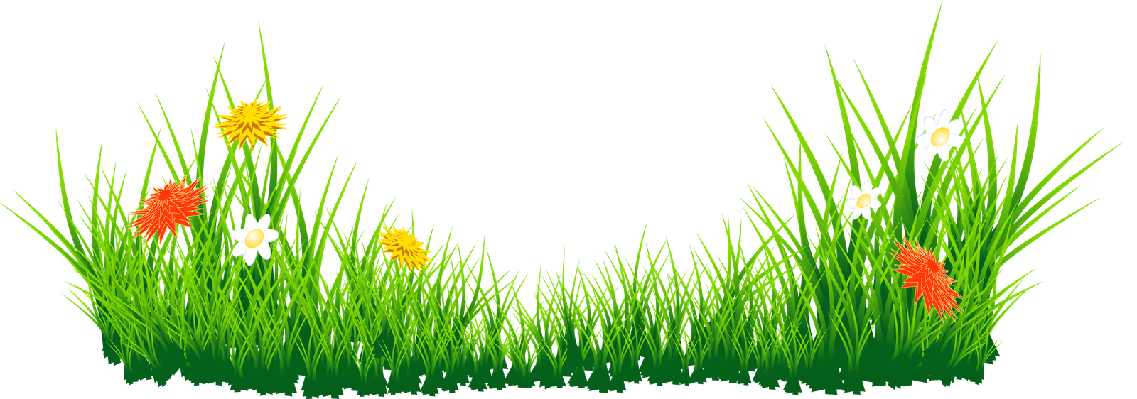 Picsart Editing Grass Nature Grass File  HD Free Download