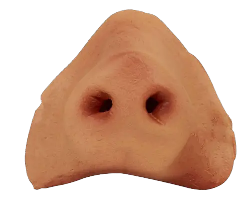 Pig Nose Transparent PNG Manoluv Deviantart HD Free Download
