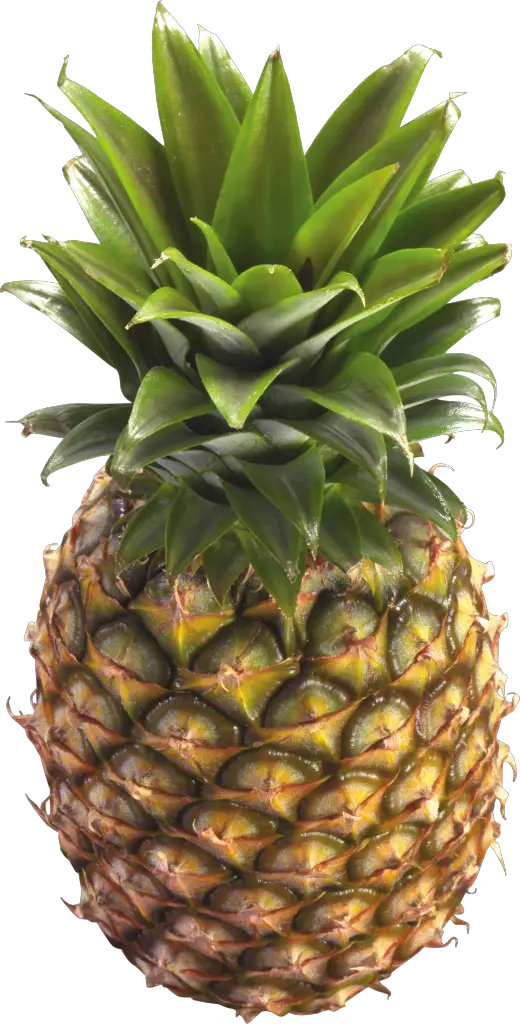 Pineapple Top Home Remedies For Thyroid HD Free Download