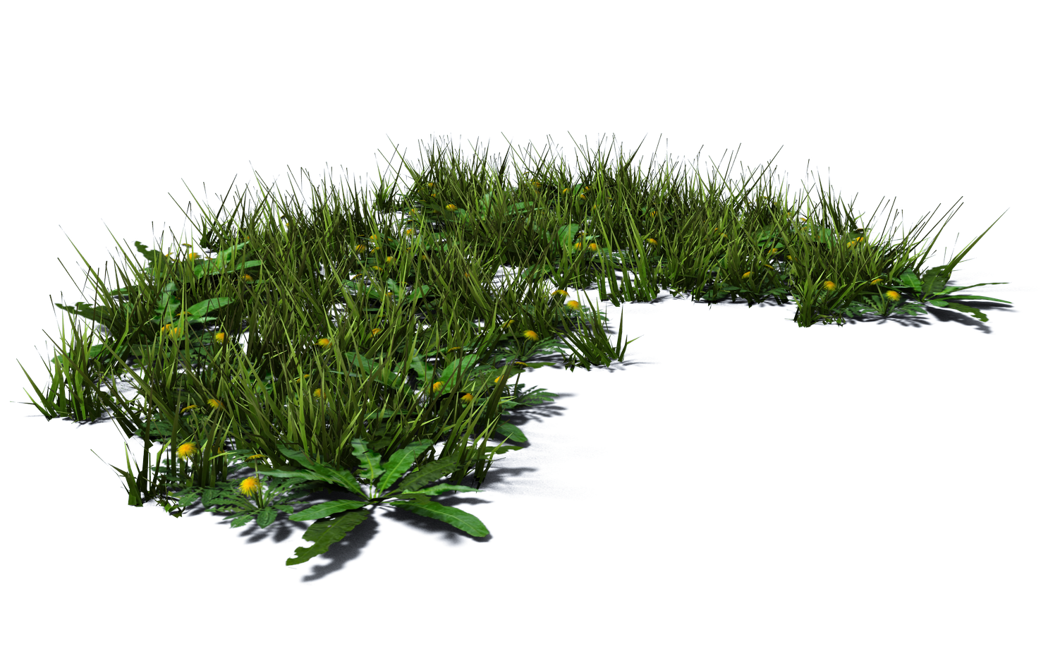 Plant Favourites Ykonlgbt Deviantart HD Free Download