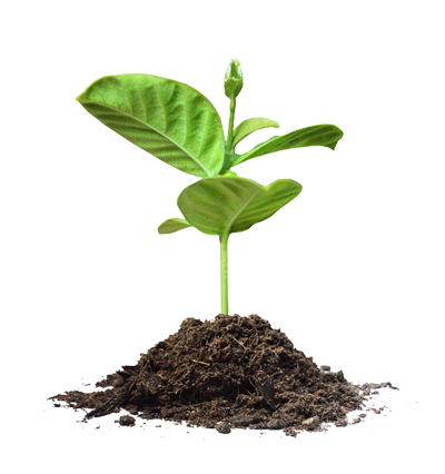 Plant PNG Barter New Sales Ims Barter Trade Exchange Network HD Free Download