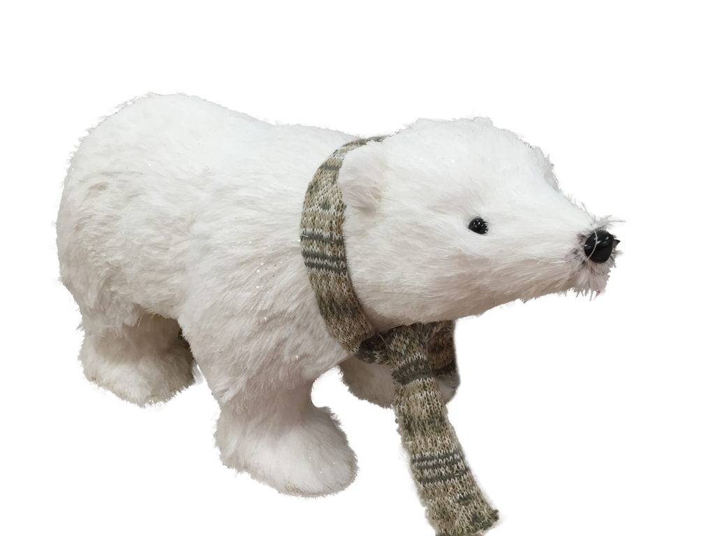 Polar Bear Polar White Bear PNG Transparent Images And Clipart Pics Transparent PNG  HD Free Download