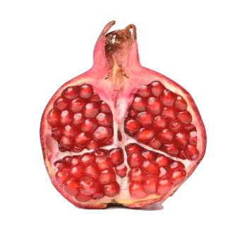 Pomegranate Bountiful Harvest  HD Free Download