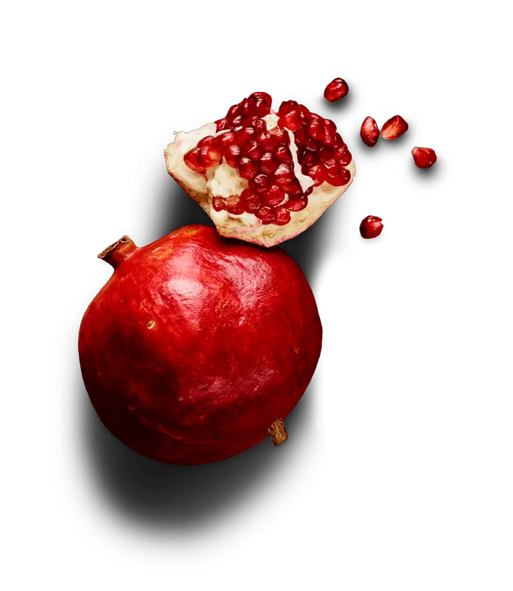 Pomegranate Nutram  HD Free Download