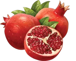 Pomegranate Perfectgems Home  HD Free Download