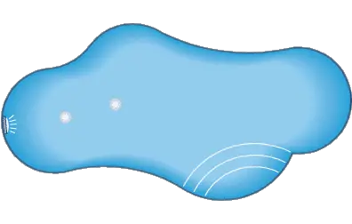 Pool Shapes And Designs Swimming Pool Designs  HD Free Download