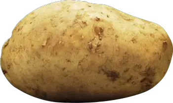Potato  HD Free Download