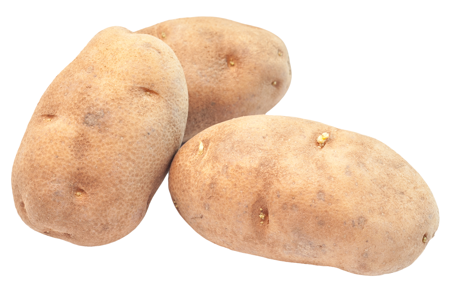 Potato PNG Image   HD Free Download