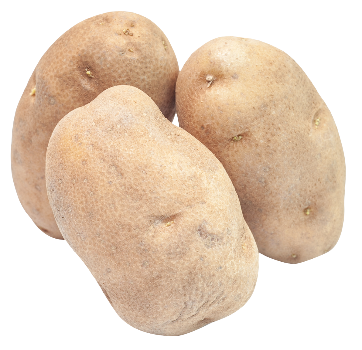 Potato PNG Image   HD Free Download