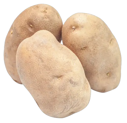 Potato PNG Image   HD Free Download