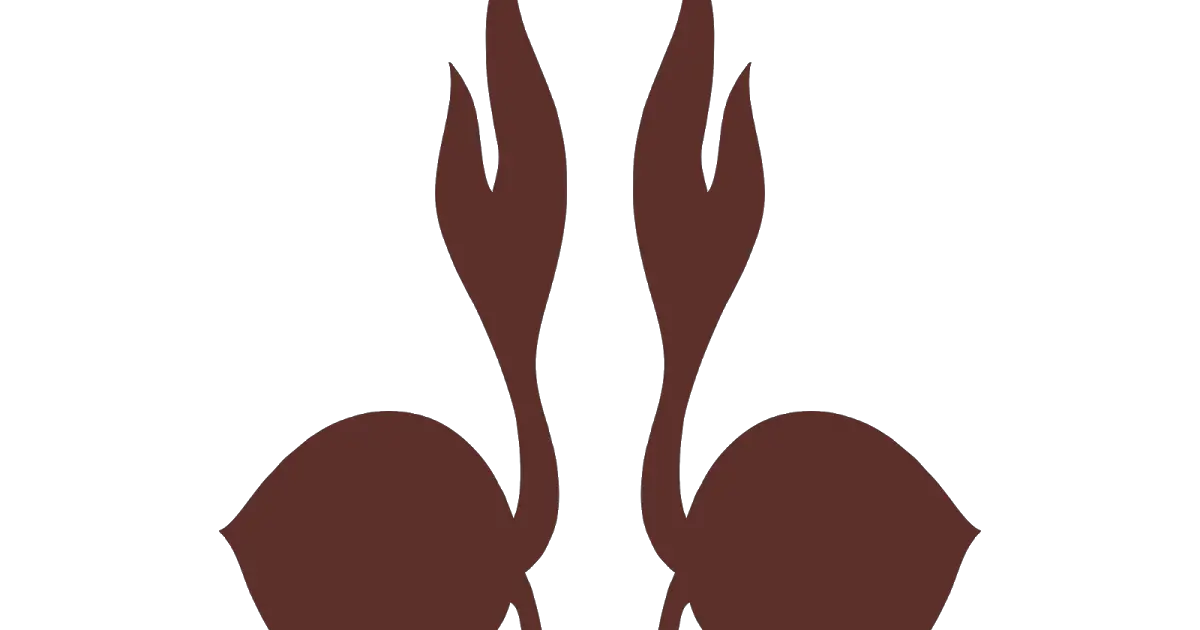 Pramuka Logo Tunas Kelapa Vector Cdr PNG Gudril Logo  HD Free Download