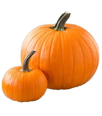Pumpkin Pumpkins Westmoreland Berry Farm HD Free Download